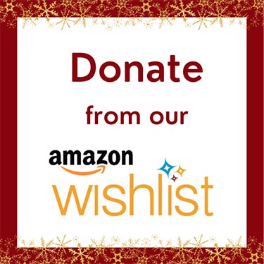 red outlined square with gold snowflakes, words say Donate from out Amazon Wishlist